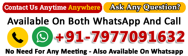 World Famous Maharudra Swami ji Astrologer  +91-7977091632